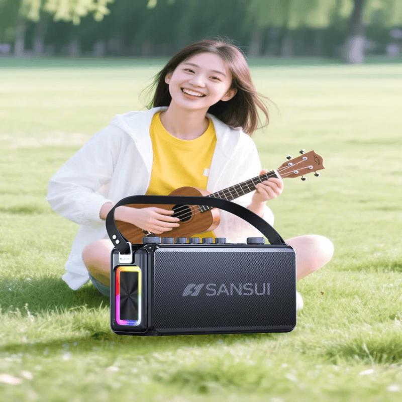 Портативная Bluetooth-колонка SANSUI T27 для KTV с беспроводным микрофоном (Китайская версия)