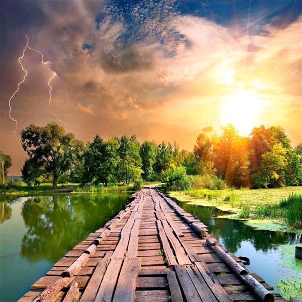 5D Diy Diamond Painting Cup Cross Stitch Sunset Landscape House Animal Penguin Mosaic Diamond Embroidery Home Decoration Gift