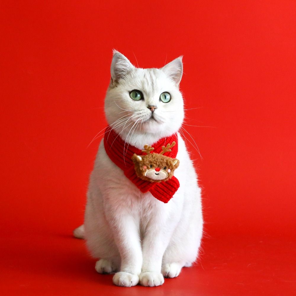 Green Pet Christmas Scarf Red Santa's Hat New Pet Winter Knitted Scarf Dog