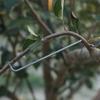 10Pcs Anti-Slip Metal Limb Spreaders Branch Bending Clips  Outdoor Farm Planting