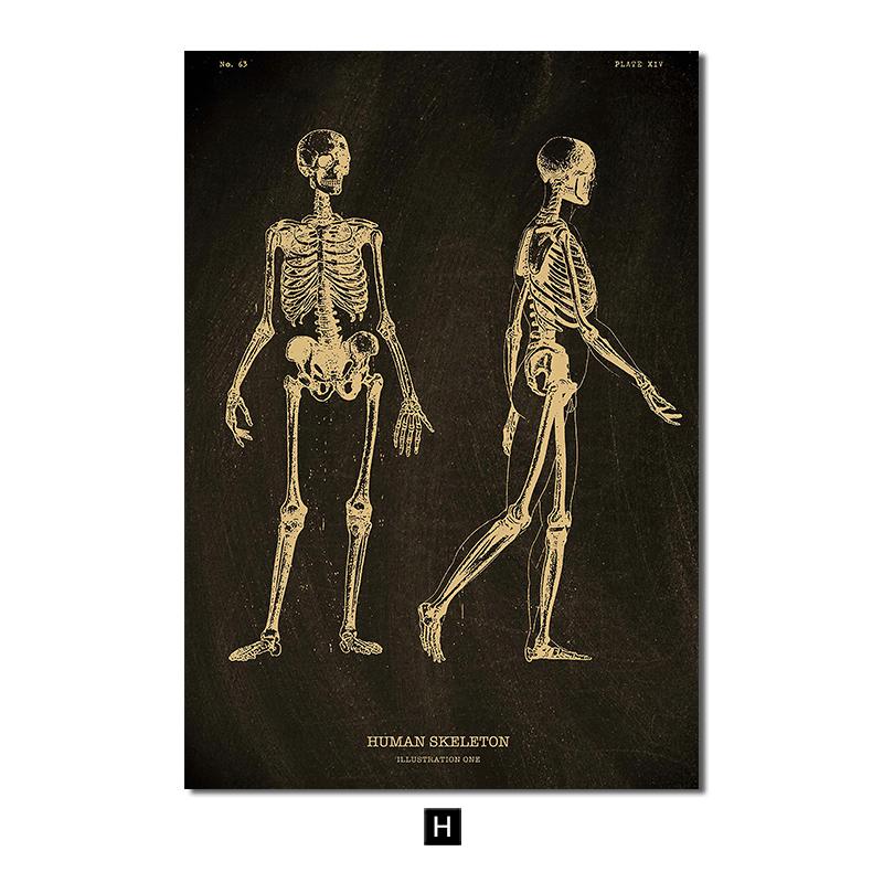Анатомия человека, винтажный постер, скандинавский холст, художественный принт, золотой скелет, органы, живопись, настенные панно, медицинский домашний декор