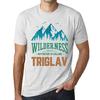 Homme Graphique  Tee Shirt Graphic T Shirt Wilderness TRIGLAV White Smoke