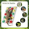 Climbing Wall for Reptiles, Reptile Tank Terrarium Accessories Habitat Decor for Bearded Dragons, Leopard Geckos, Lizards, Snakes, Tree Frogs,