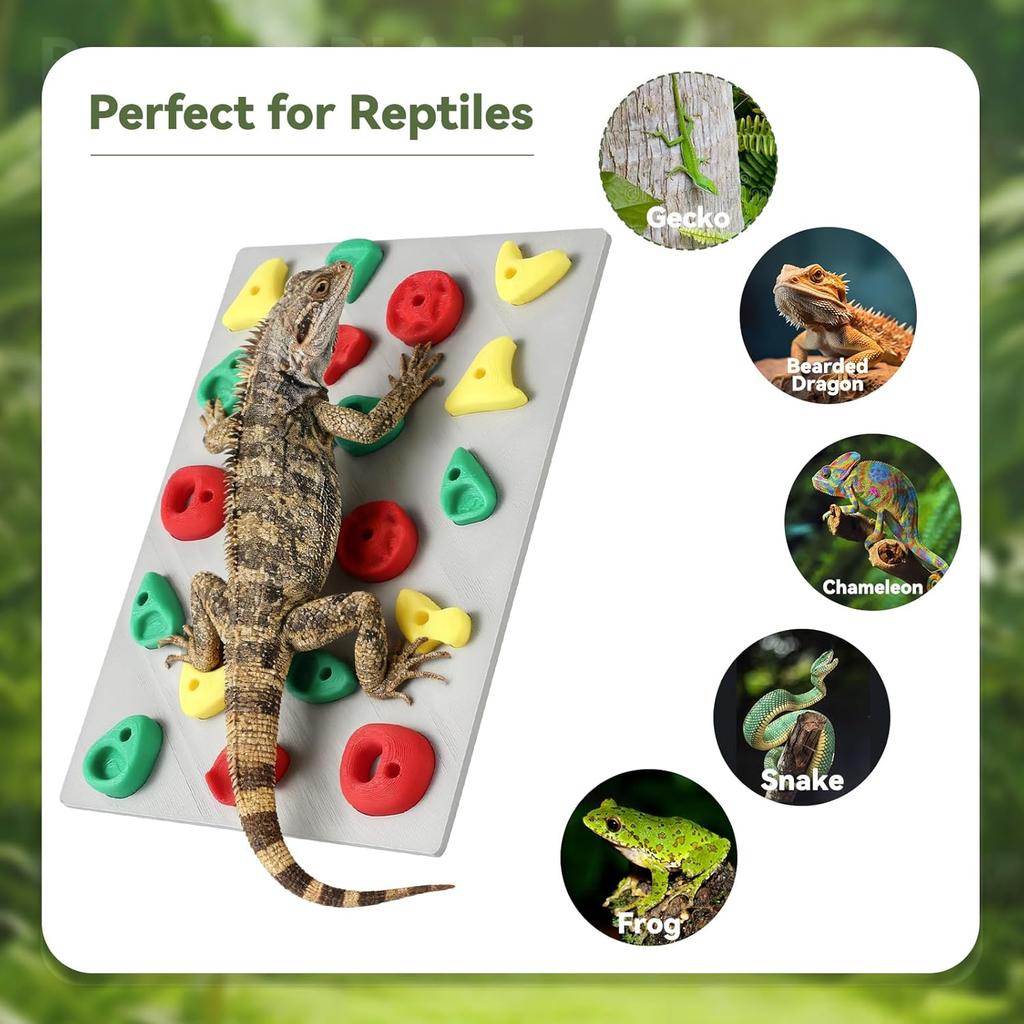 Climbing Wall for Reptiles, Reptile Tank Terrarium Accessories Habitat Decor for Bearded Dragons, Leopard Geckos, Lizards, Snakes, Tree Frogs,