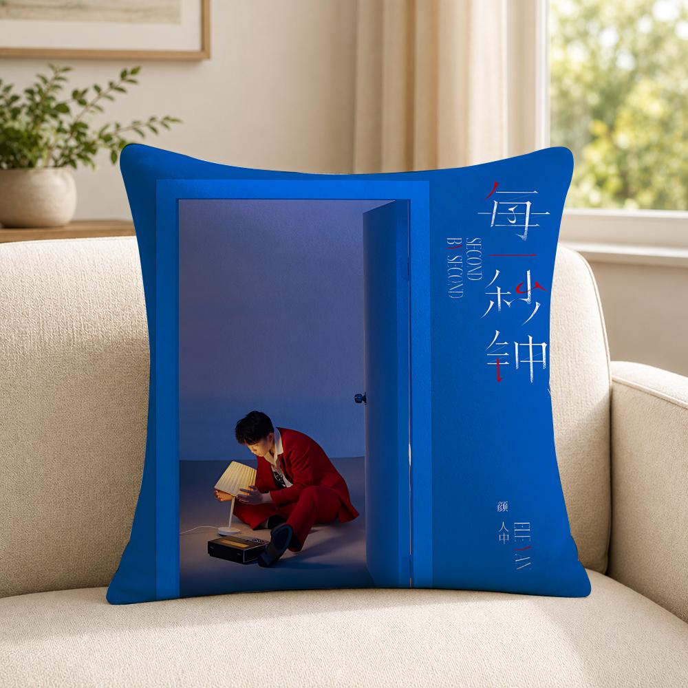 Singer EEle YYan Cushion Cover Soft Short Plush SkinFriendly Cushion Case for MultiScene Use