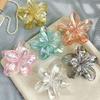Bohemian Minimalist Resin Flower Hair Clips, Transparent AB Color Gradient, Non-Slip, for Thick Hair, Braid Styling, Hawaiian Easter New Year Gifts