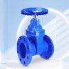 YunDuo Soft Seal Gate Valve