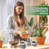 100-1000 шт. Мешки для рассады Разлагаемые Нетканые Мешки для питомника Тканевые Мешки для выращивания рассады Мешочки для растений для Сада Сельскохозяйственные принадлежности