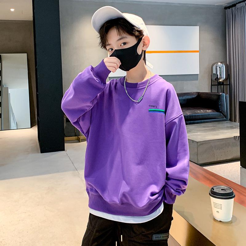 2023 Мальчики Свитшот В Корейском Стиле Круглый Вырез - Весенний и Осенний Принт Пуловер Для Детей