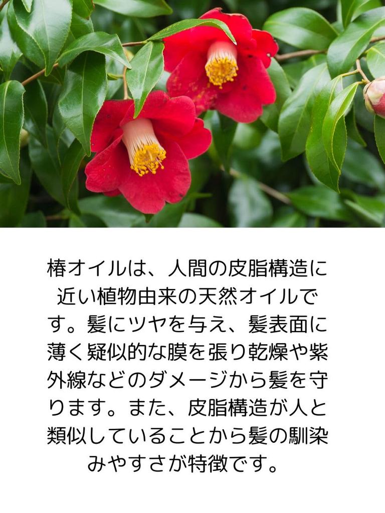 Гребень из самшита с маслом камелии от Made with Camellia, отделка натуральным самшитом, "Гребень из самшита" Kamigoto, Масло, (1 гребень)