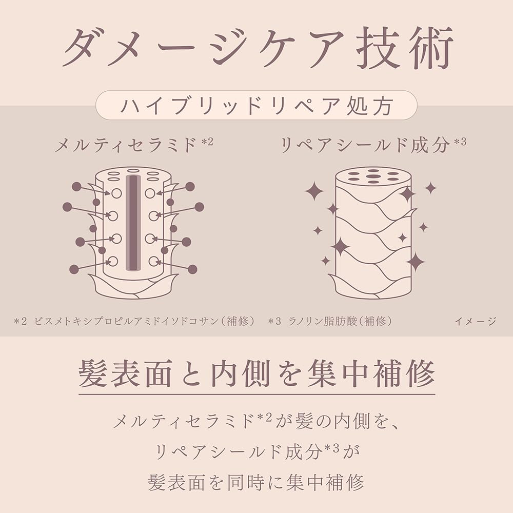 Melt Moist Pump Pair + Melt Melt Experience Set with Creamy Melt Foam Pump Pair 960ml + 2g Rest Beauty