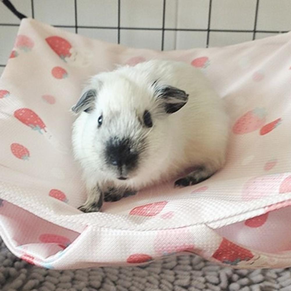 Летняя Охлаждающая Подвесная Кровать для Хомяка Дышащий Спальный Мешок для Белки Сахарный Посум Белка Хорек