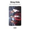Stray Kids В СТАНДАРТНОЙ ВЕРСИИ. Официальная фотокарта