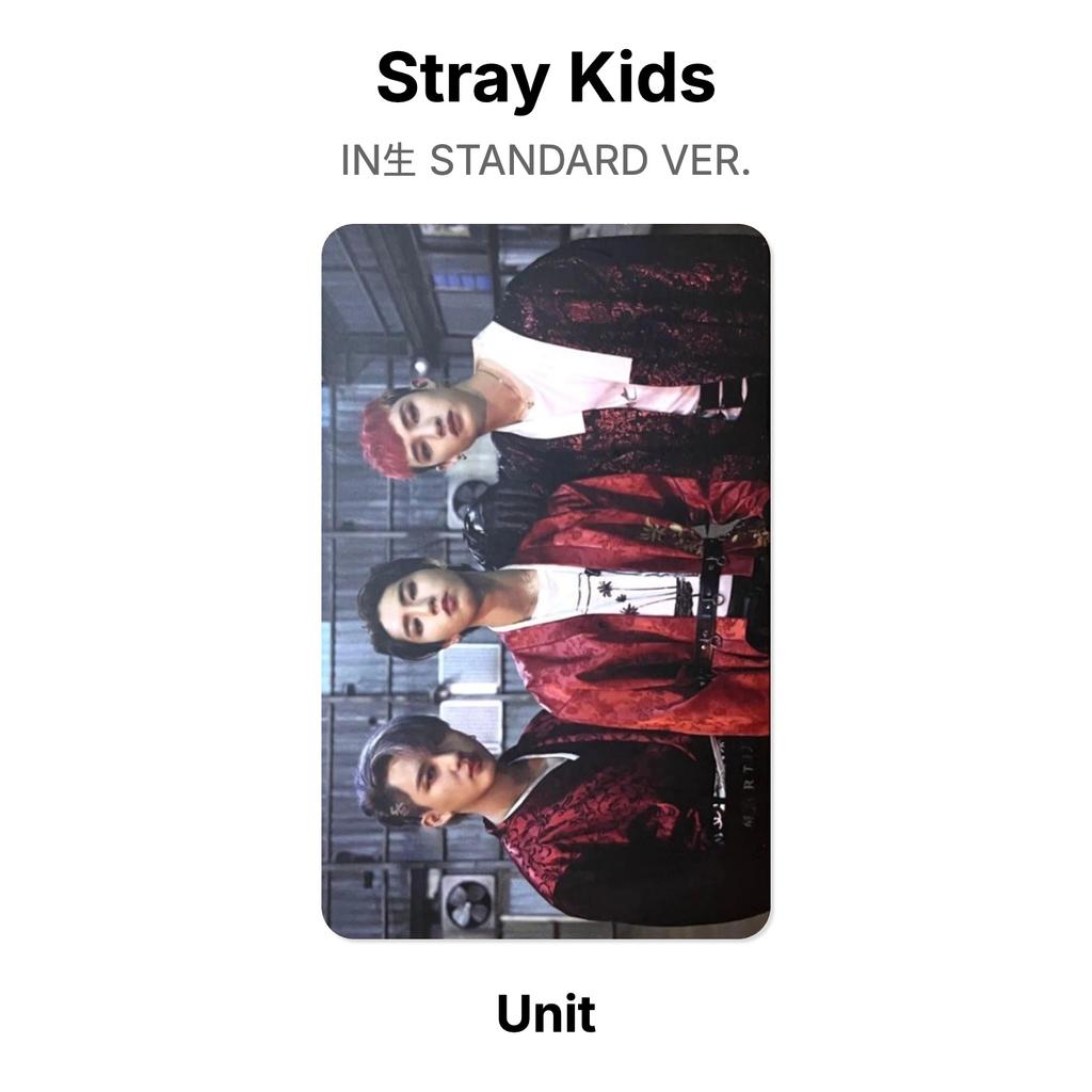 Stray Kids В СТАНДАРТНОЙ ВЕРСИИ. Официальная фотокарта