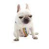 4 Sizes Pet  Diapers  Suspenders Lightweight Simple Convenient Physiological Pants Fixed Strap