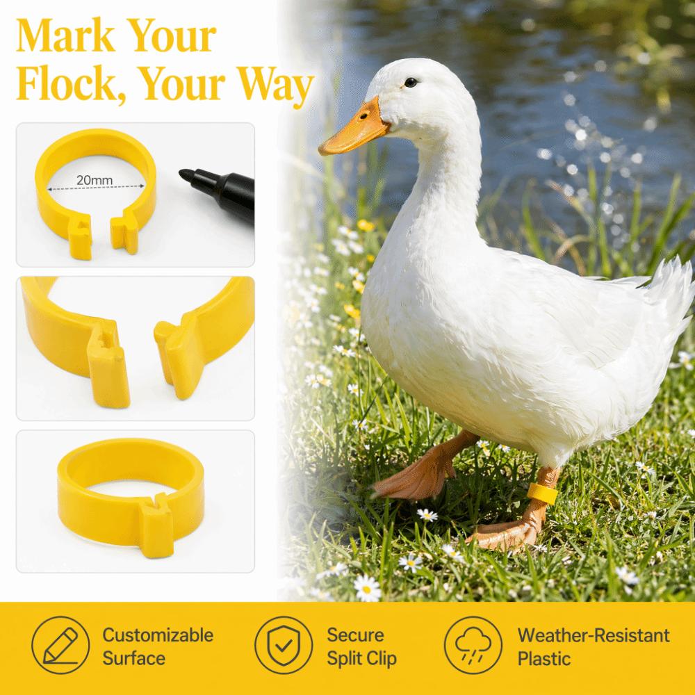 100Pcs Plastic Duck Leg Bands Reusable Chickens Leg Rings Tracking Different Breeds