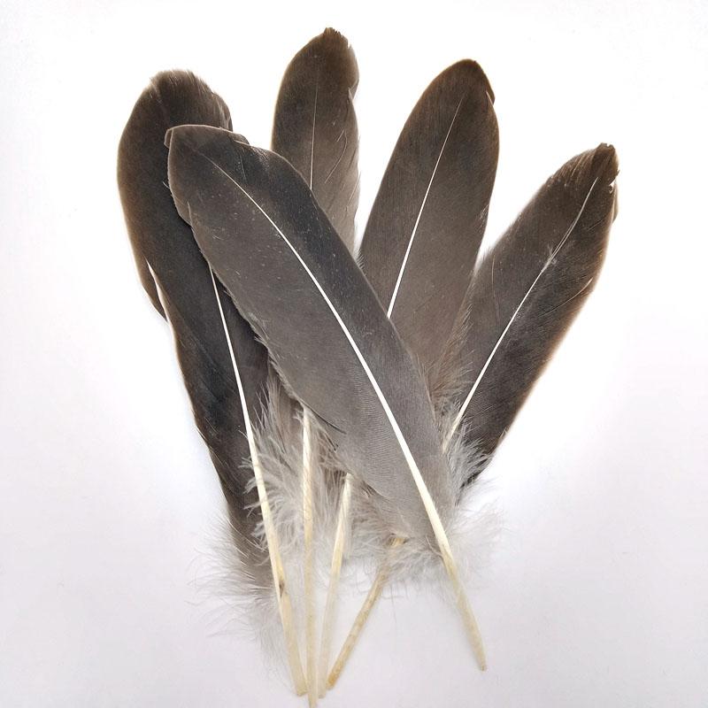20PCS Hard Stick Colourful Goose Feathers Plumes Swan for Home Decoration Crafts DIY Jewelry Making Table Centerpieces 15-20cm