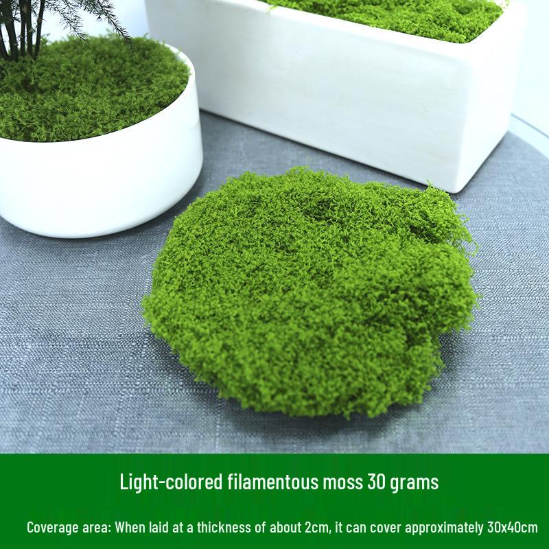 Artificial Moss Turf and Rockery Stones for Horticulture, Landscaping, and Bonsai Decor