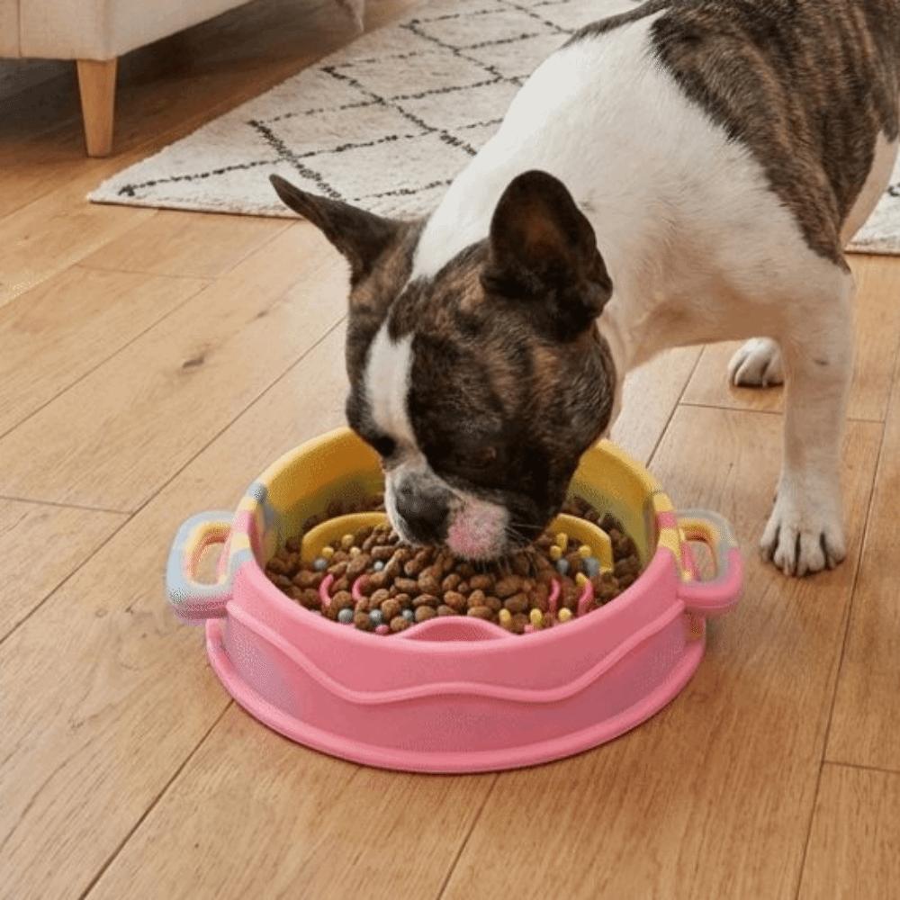 Silicone Dog Slow Feeder Bowl Non-Slip Anti-Flip Dog Treat Bowl Anti-choking with Suction Cup Pet Food Dish Pet Enrichment