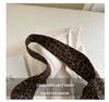 Korean Style Large Capacity Leopard Print Women's Shoulder Bag - 2025 Autumn Casual Tote