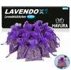 LAVENDOX Lavender Sachets Lavender Pillow Moth Repellent Premium Scented Sachets [20x]