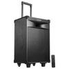 Edifier PW312 12-дюймовая портативная акустическая система для сцены и улицы, штекер CN (адаптер в комплекте)