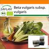 Garden in the Bag - Органический - Мангольд - 150 семян - С субстратом в подходящем стоячем пакете - Beta vulgaris