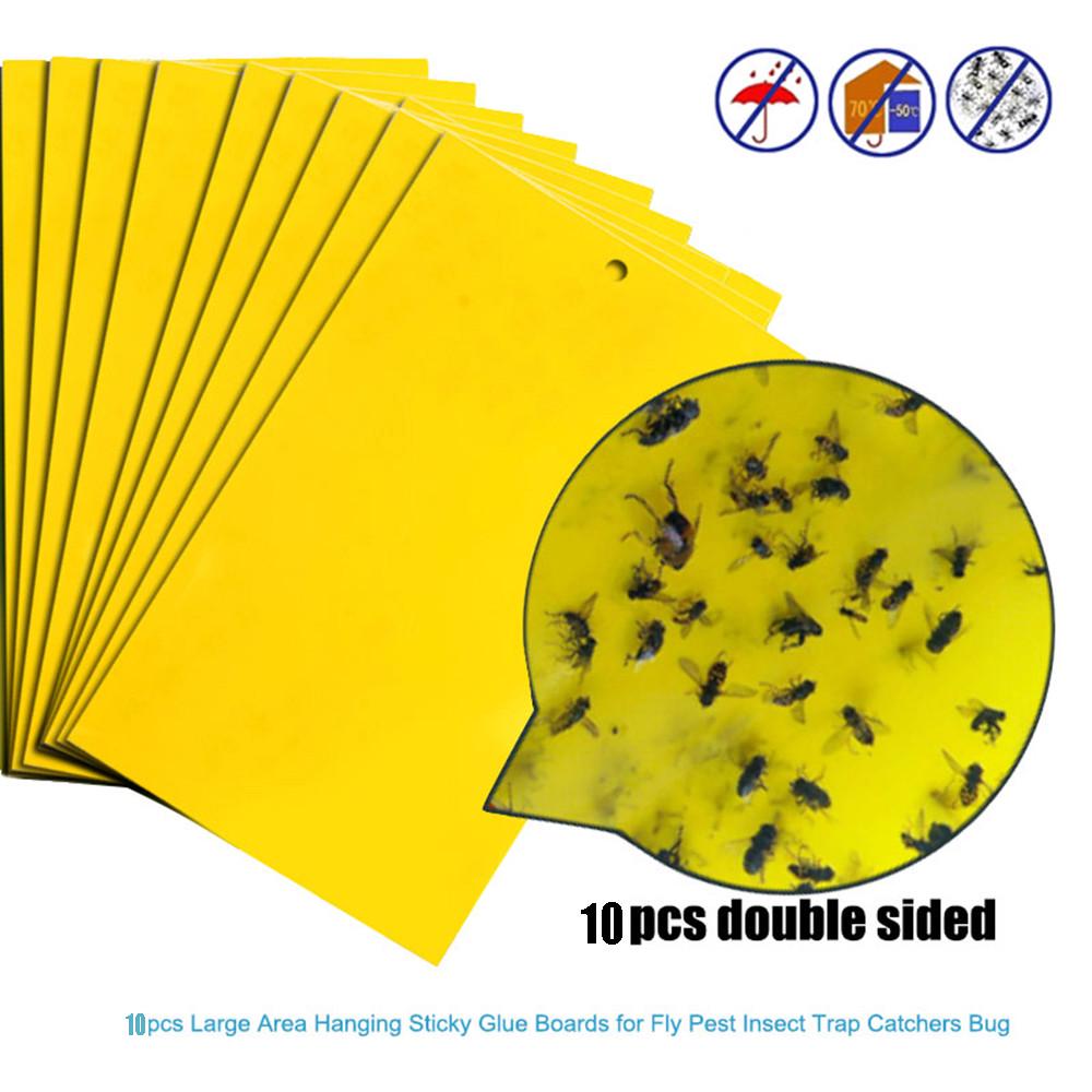 20Pcs Strong Traps Sticky Board Catching Aphid Pest
