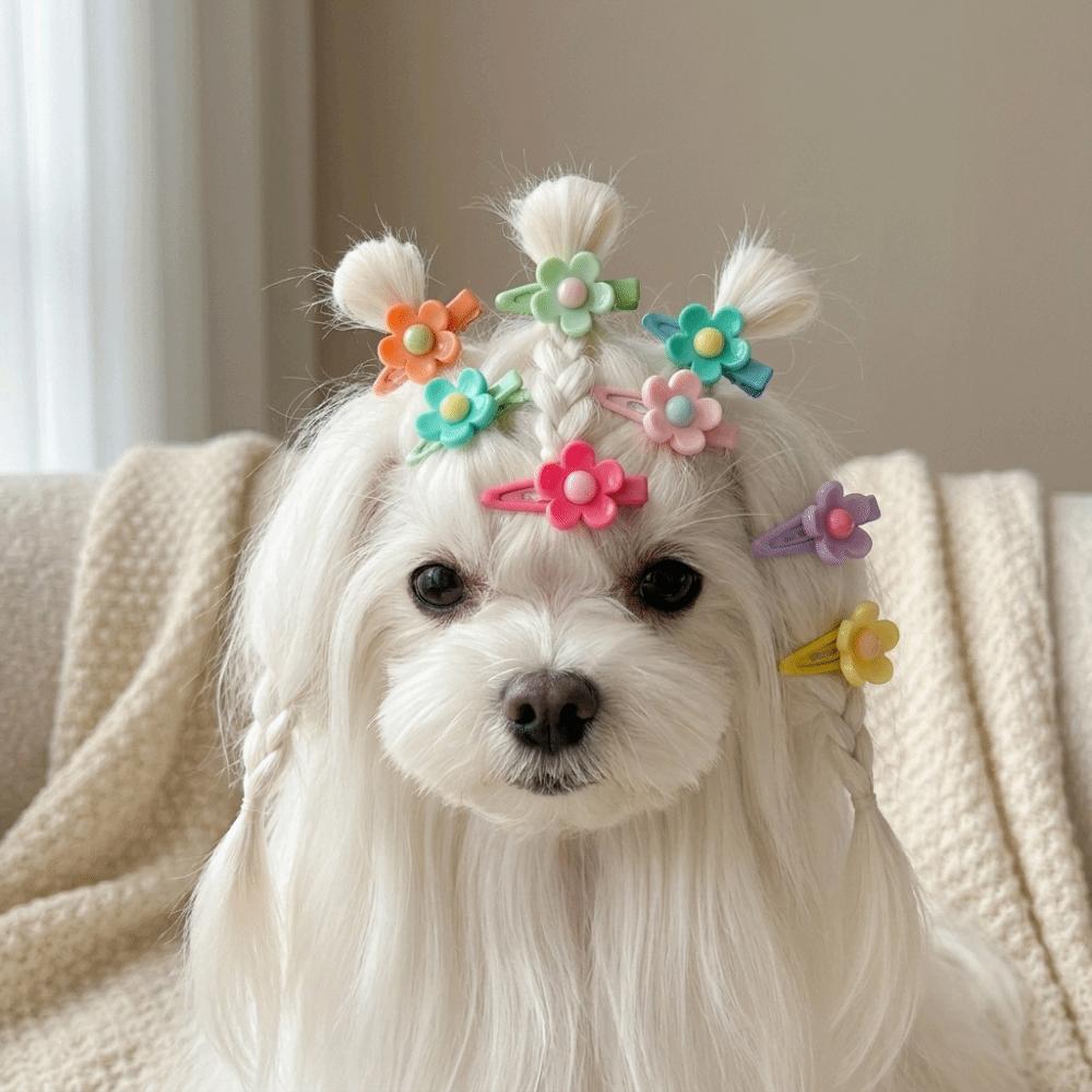 32pcs 3.5CM Size Pet Hair Clip Sunflower Shape Pet BB Clip Dog Hair Accessory Dog Grooming