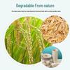 Beiyipin Rice Husk Disposable Dining Set