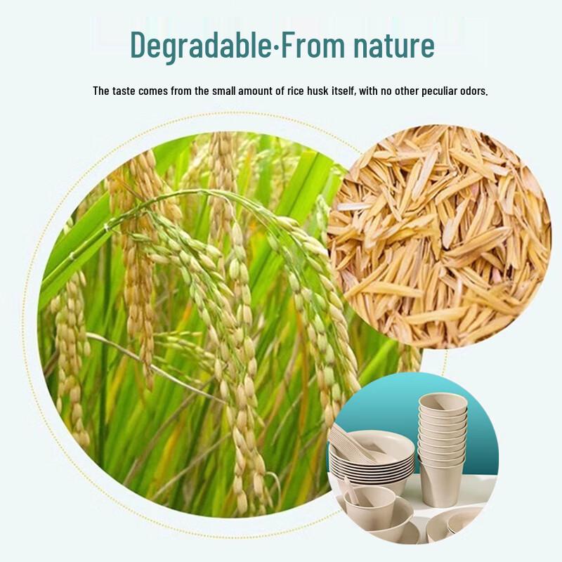 Beiyipin Rice Husk Disposable Dining Set
