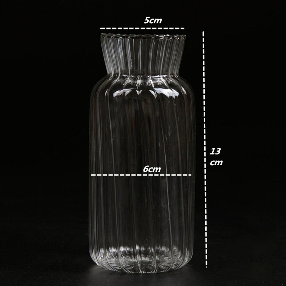 Hydroponic Nordic Creative Container Plant Bottle Glass Vases Flower Pot Table Vase