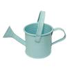 Kettle Ornament Drop-resistant Opening Design Creative Decorative Galvanized Iron Flower Planting Pot Watering Can Home Garden KTY