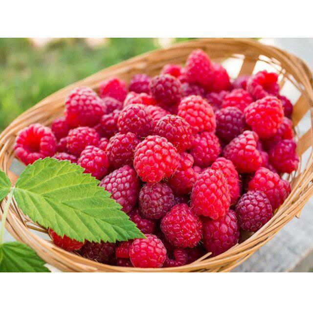 DIY 5D Diamond Painting Fruit Cross Stitch Mosaic Diamond Embroidery Full Round Picture of Rhinestone Kitchen Home Decor