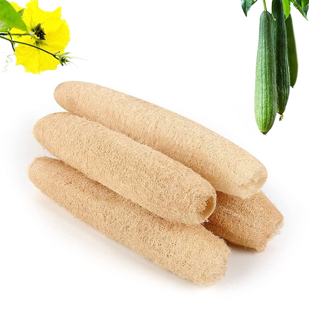 Натуральный настоящий скребок для тела из люфы для душа, который очистит вас, а не просто нанесет мыло