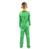 PJ Masks costume for carnival, gekko disguise, costume party 12