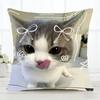 CUTE ANIMAL Pillow Case Fashion Square Pillowcase Bedroom Sofa Room Ins Decoration Leisure