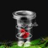 Suction Cup Aquarium Isolation Box Semi-transparent Aquarium Breeder Feeder  Home Fish Tank