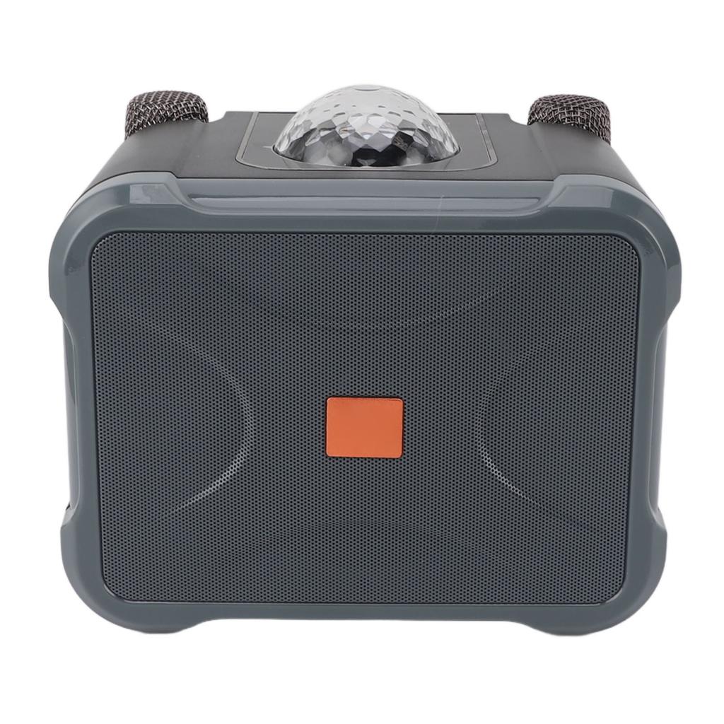 Беспроводной Bluetooth-динамик с чистым звуком, портативный ручной караоке-аппарат с двумя микрофонами для взрослых и детей