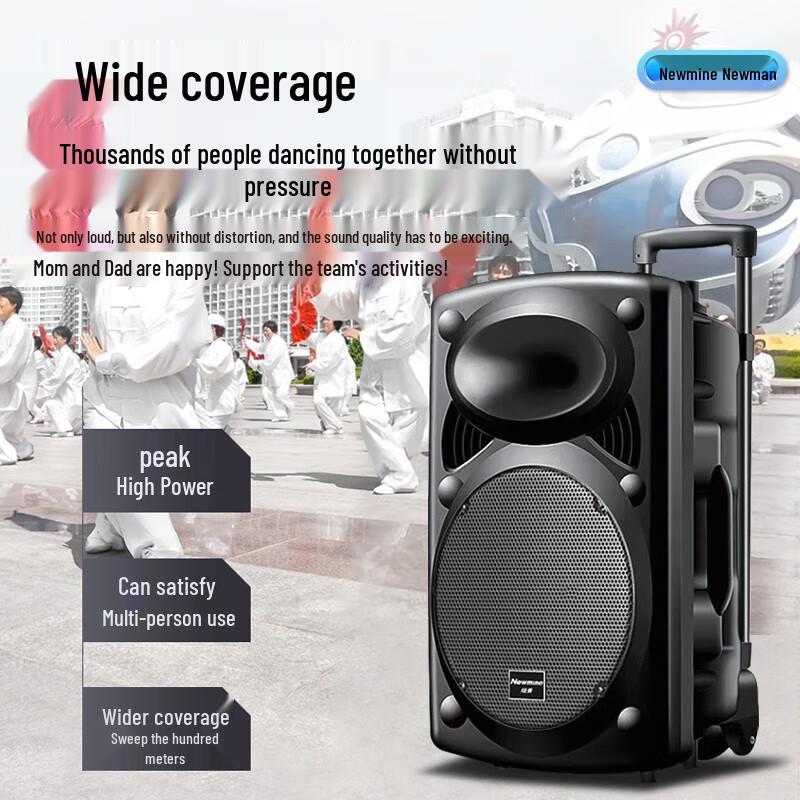 Newsmy 12-inch Portable Bluetooth Pull-Rod Speaker