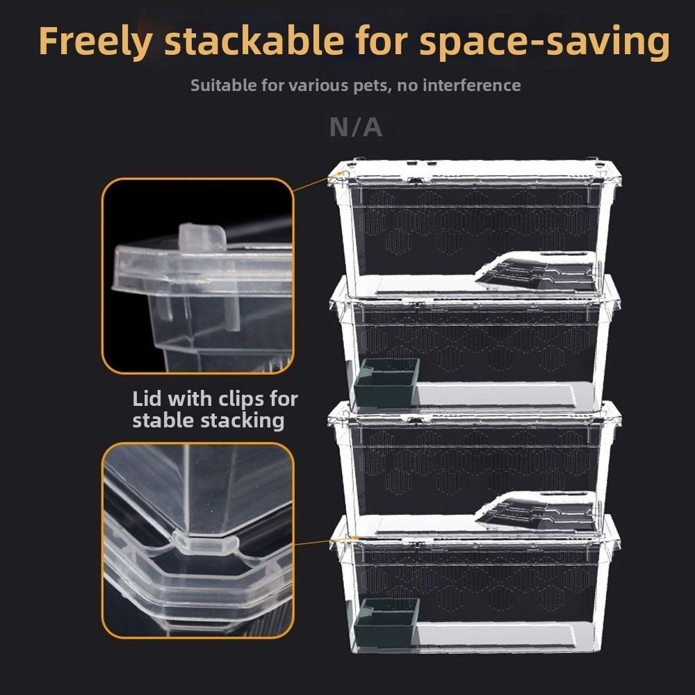 Transparent Reptile Tank Plastic Reptile Transport Container Reptile Pet Supplies