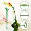 10Pcs Support Rod Bonsai Fixing Tool 17/27/37cm Flower Vine Climbing Bracket  Vegetables Vine