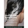AROMATICA Tea Tree Purifying Shampoo 400ml - Organic Oily Hair Sulfate-Free Scalp Non-Silicone Sebum Thinning Loss Prevention Cosmetics Care