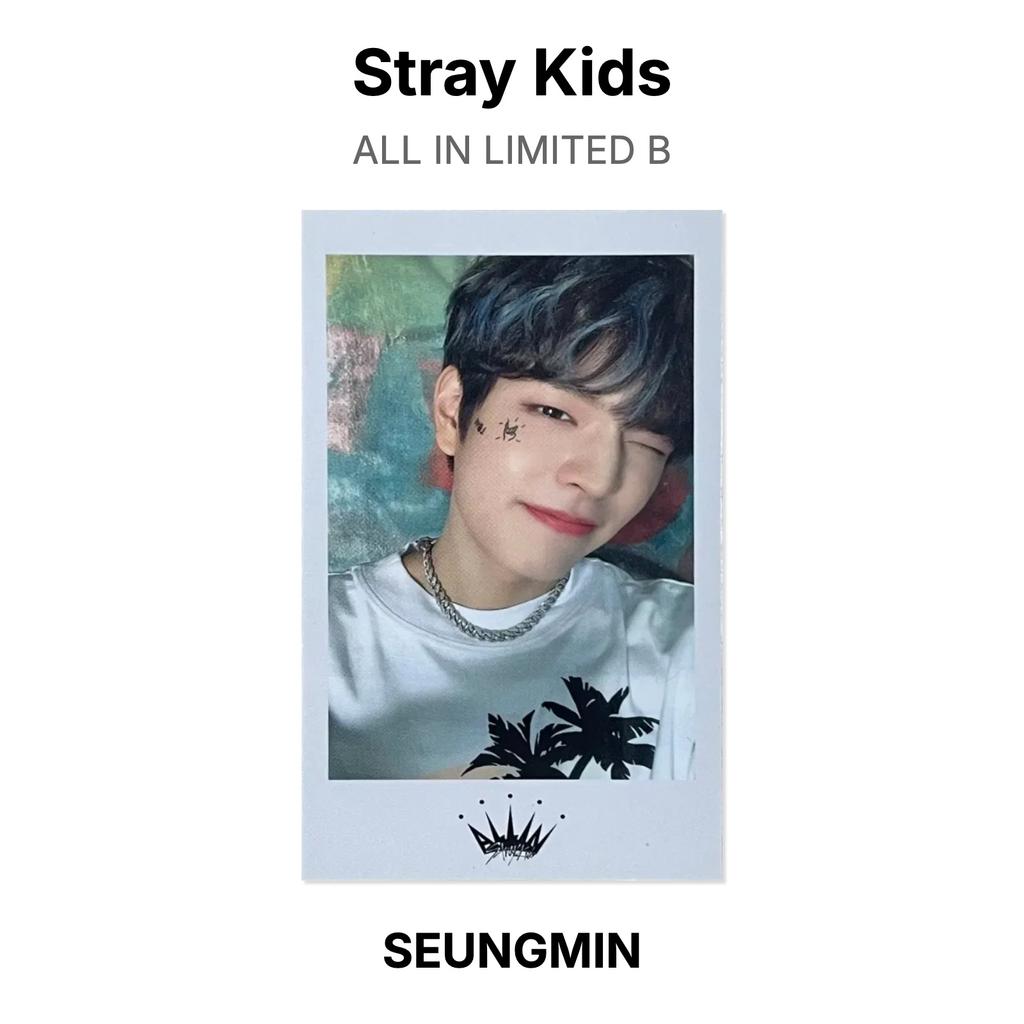 Stray Kids ВСЕ В ОГРАНИЧЕННОМ ИЗДАНИИ B Официальная фотокарточка