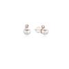 Bacio Baci 14K Daily Pearl Petite Earrings Pink Gold DG18SE0373
