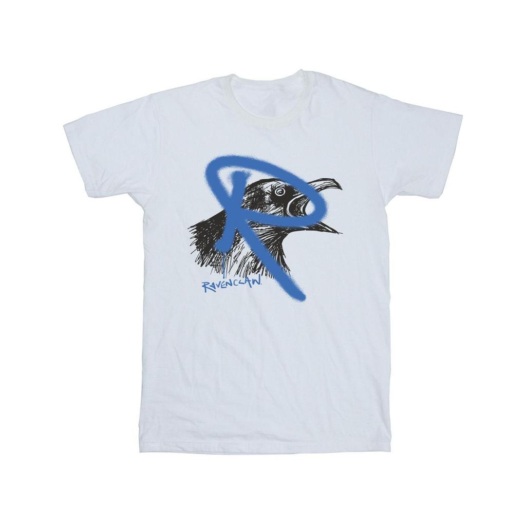 Harry Potter Mens Ravenclaw Pop Spray T-Shirt