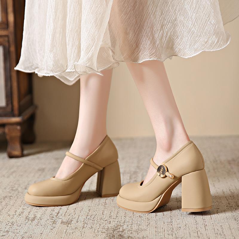 Нежный вечерний бриз Туфли Мэри Джейн на высоком каблуке женские универсальные юбки на толстом каблуке осень 2025 новые маленькие кожаные туфли одинарные туфли