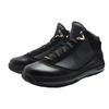Nike Air Max LeBron 7 'Черный' 375664-001