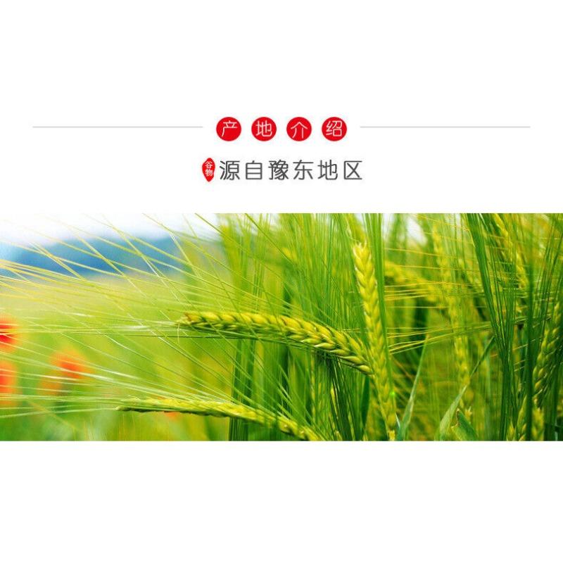 Зрелая пшеничная мука, зерновой порошок, заменитель еды, 500 г