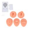Silicone Tongue Mouth Nose Model Reusable Simulation Silicone Body Parts Practice Display Model